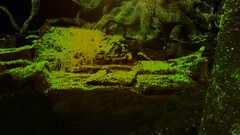 Therighttobeforgotten still 05