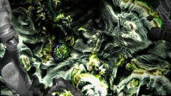 Symbionts still 03