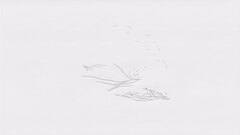 Subharmonics still 13