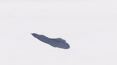 Subharmonics still 04