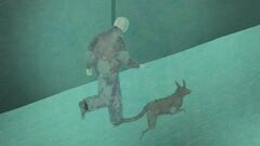 Of pigeons and dogs 06
