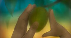 Gropposgarden still 09
